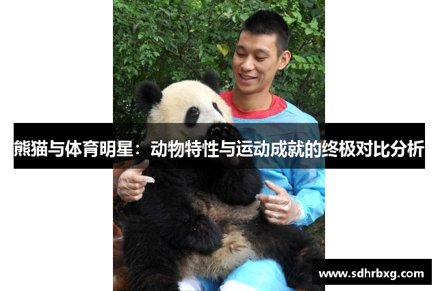 熊猫与体育明星：动物特性与运动成就的终极对比分析